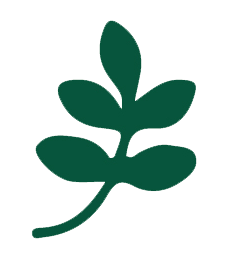 Leaf icon